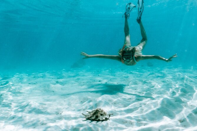 Full Day Tour : Moorea Snorkeling & Sunset Cruise on a Catamaran named Taboo - What Captain Leo and the crew add