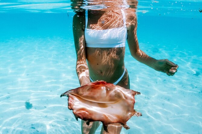 Full Day Tour : Moorea Snorkeling & Sunset Cruise on a Catamaran named Taboo - Who should book this six-hour Moorea outing