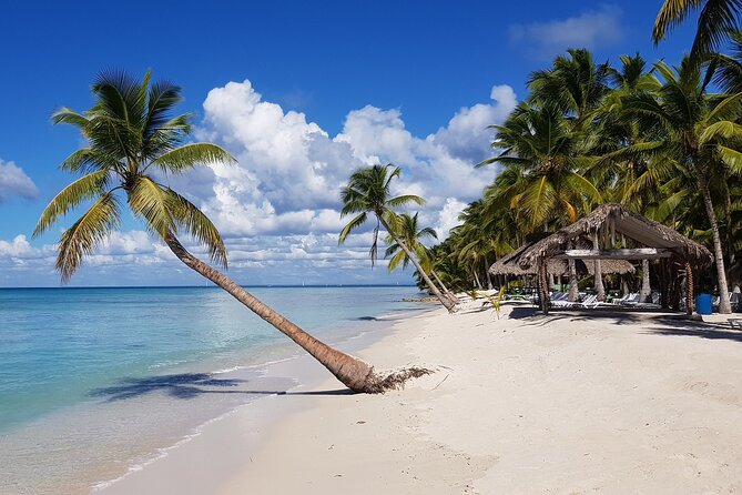 Full Day Tour to Saona Island by Catamaran and Speedboat - Saona Island is the reason to go