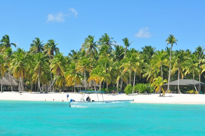 Full Day Tour to Saona Island by Catamaran and Speedboat - Playa Palmilla offers a different kind of water stop