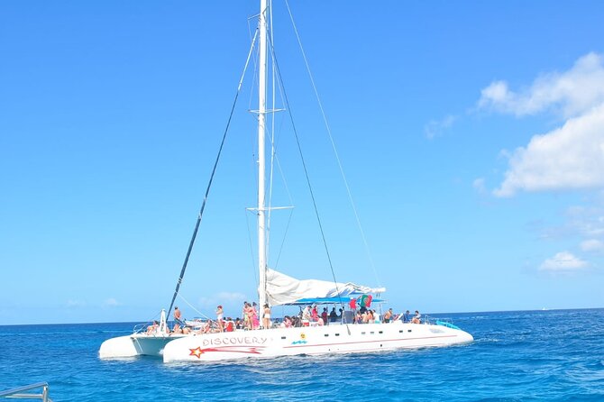 Full Day Tour to Saona Island by Catamaran and Speedboat - Guide Willie and the human side of the tour