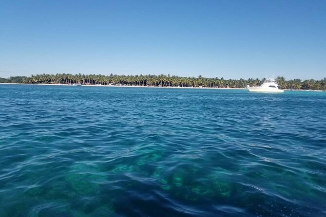 Full Day Tour to Saona Island by Catamaran and Speedboat - Is $80 a fair price for the day?