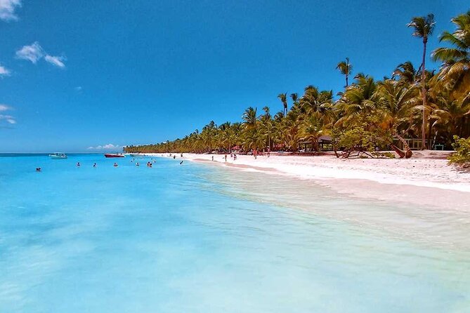 Full Day Tour to Saona Island by Catamaran and Speedboat - Catamaran or speedboat changes the feel