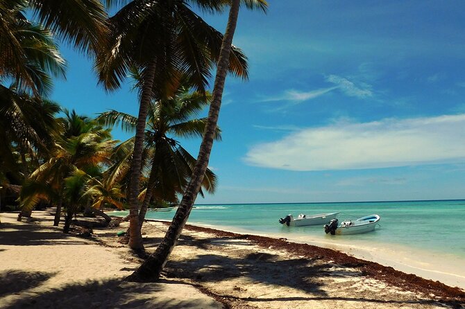 Full Day Tour to Saona Island by Catamaran from Cabeza de toro - Key points to know before booking