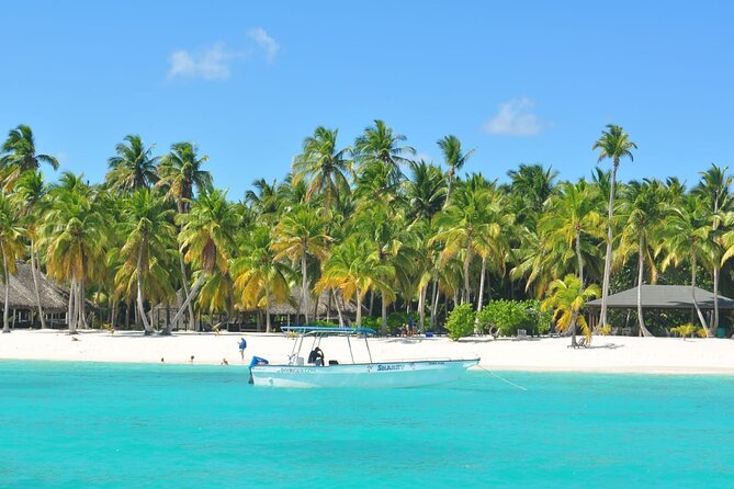 Full Day Tour to Saona Island by Catamaran from Cabeza de toro - Is $105 a fair price?