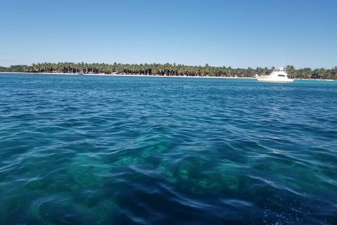 Full Day Tour to Saona Island by Catamaran from Cabeza de toro - Who will enjoy this excursion most?