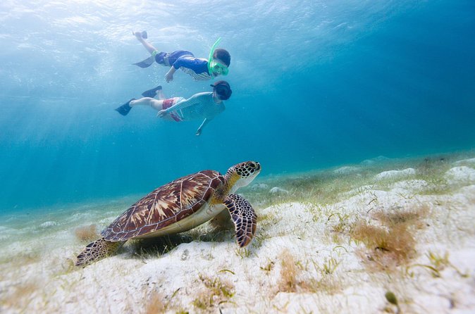 Full or Half Day Private Power Catamaran- USVI Beach and Snorkel - Honeymoon Beach and the calm water of St. John