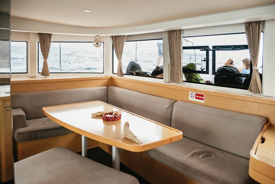 Funchal Bay: Dolphin & Whale Watch Luxury Catamaran Cruise - Should you book the Atlantic Pearl?