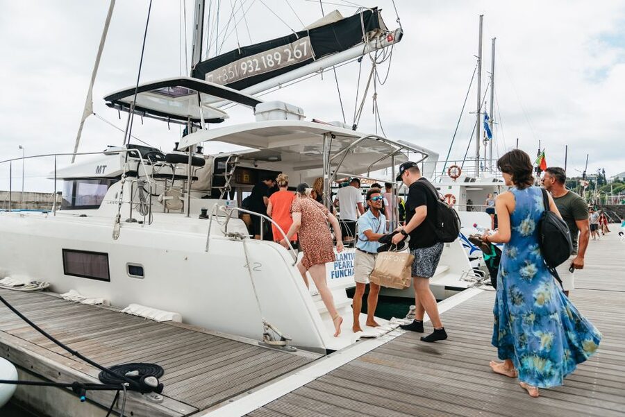 Funchal Bay: Dolphin & Whale Watch Luxury Catamaran Cruise - Searching the Atlantic for dolphins and whales