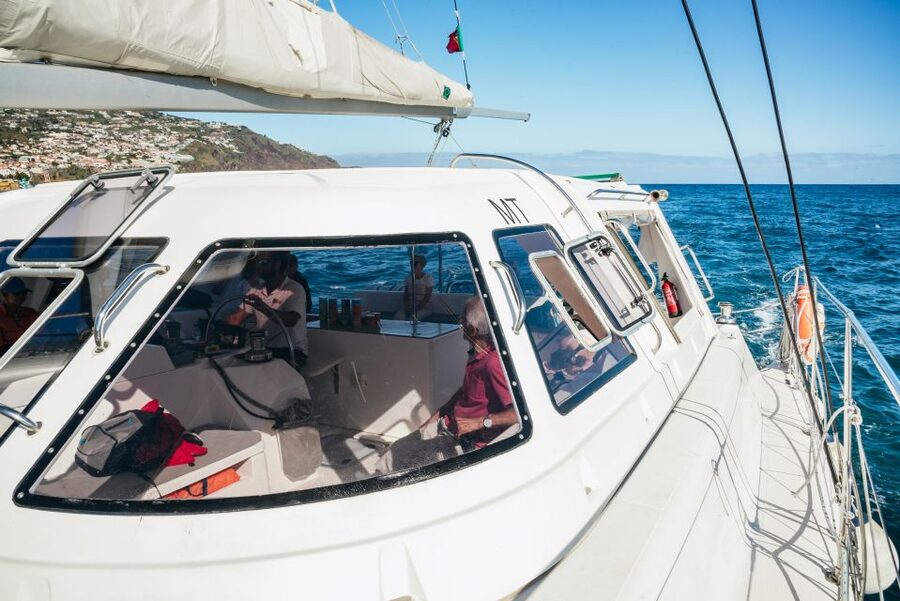 Funchal: Dolphin and Whale Watching by Luxury Catamaran - Setting Out From Pier 8 in Funchal
