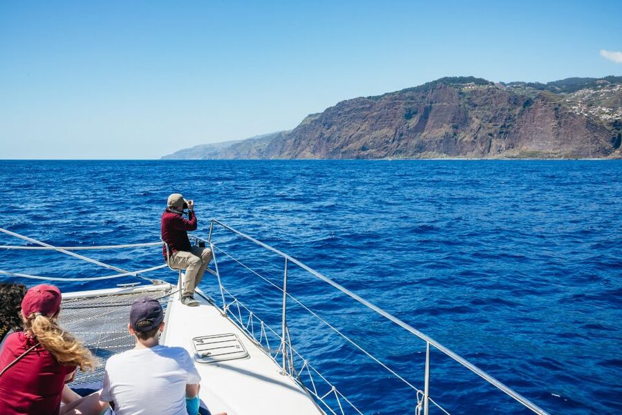 Funchal: Dolphin and Whale Watching by Luxury Catamaran - FAQ
