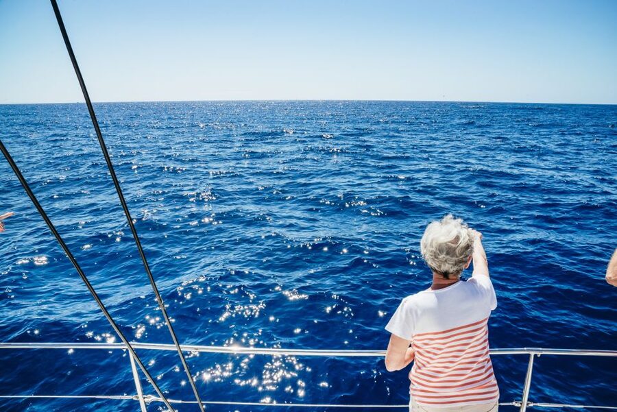 Funchal: Dolphin and Whale Watching by Luxury Catamaran - Cabo Girão From Sea Level