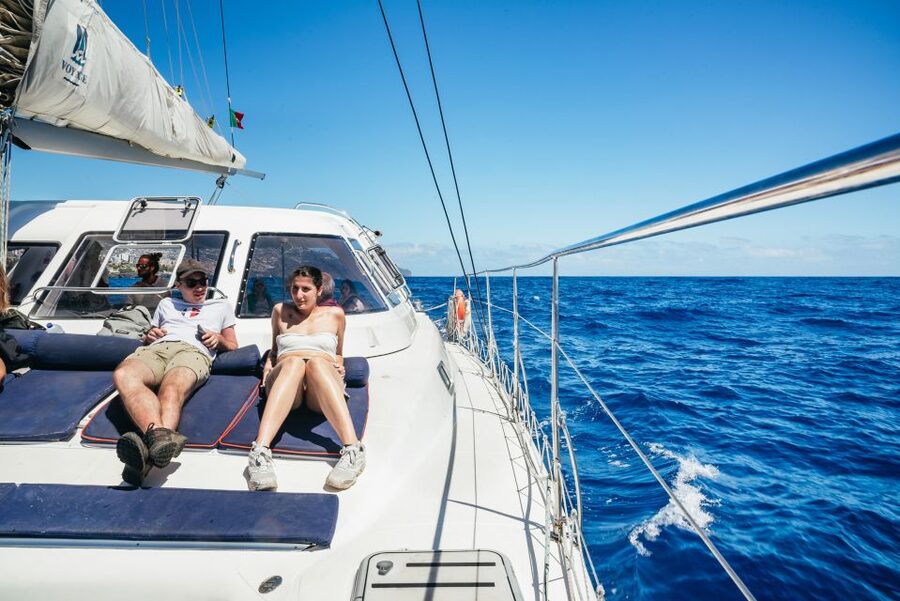 Funchal: Dolphin and Whale Watching by Luxury Catamaran - What $47 Buys You