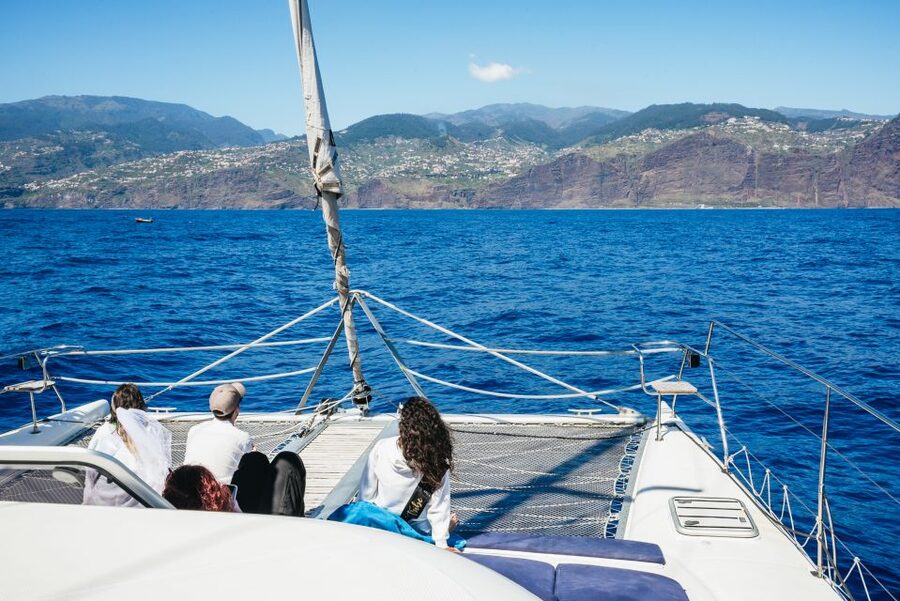 Funchal: Dolphin and Whale Watching by Luxury Catamaran - Booking Tips for a Smoother Morning