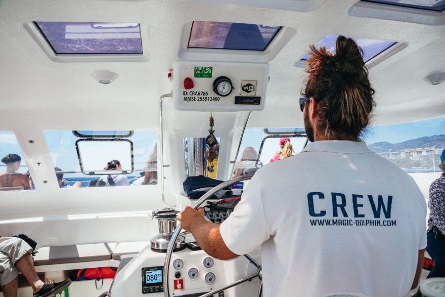 Funchal: Dolphin and Whale Watching by Luxury Catamaran - Should You Book the Magic Dolphin Catamaran?