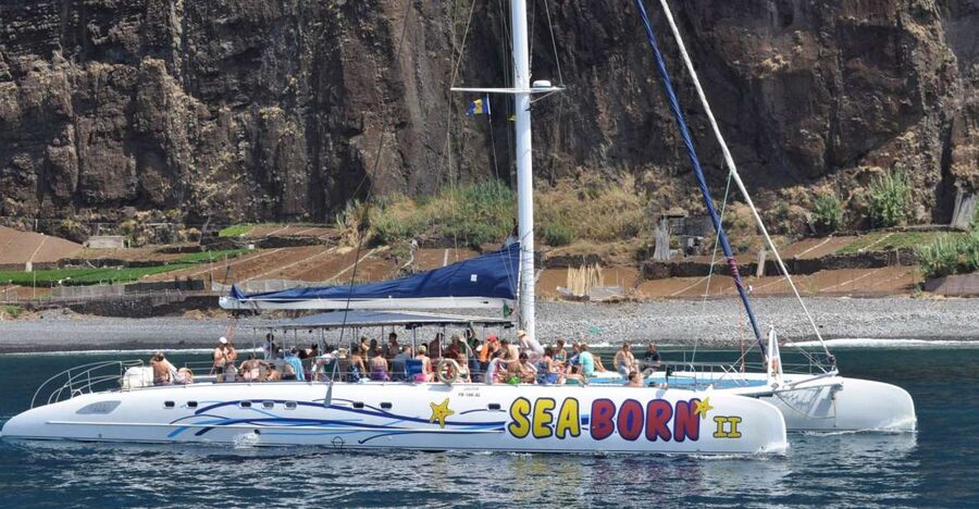Funchal: Dolphin and Whale Watching Catamaran Cruise - What the three hours feel like