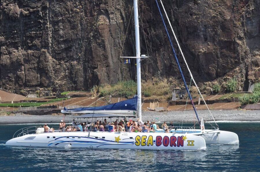 Funchal: Dolphin and Whale Watching Catamaran Cruise - Is $41 good value?
