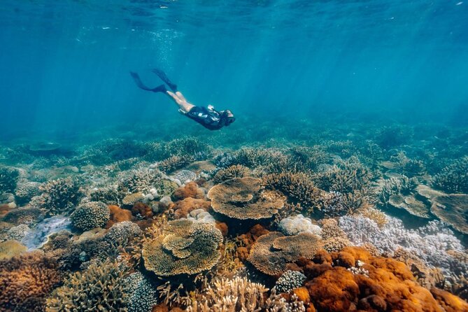 Funtastic Catamaran Cruise and Snorkel of Great Keppel Islands - The Southern Great Barrier Reef stop