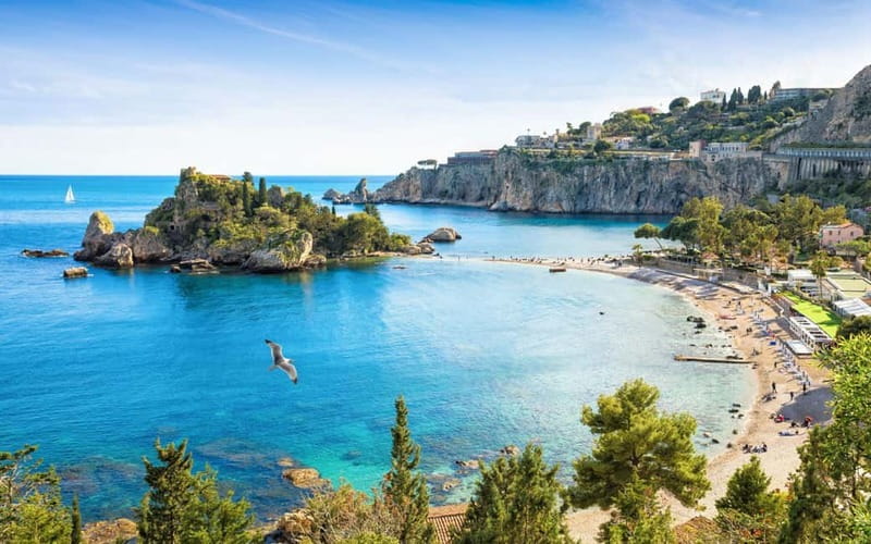 Giardini Naxos: Dolphin Catamaran Sunset Tour with Aperetif - When this tour gives you good value