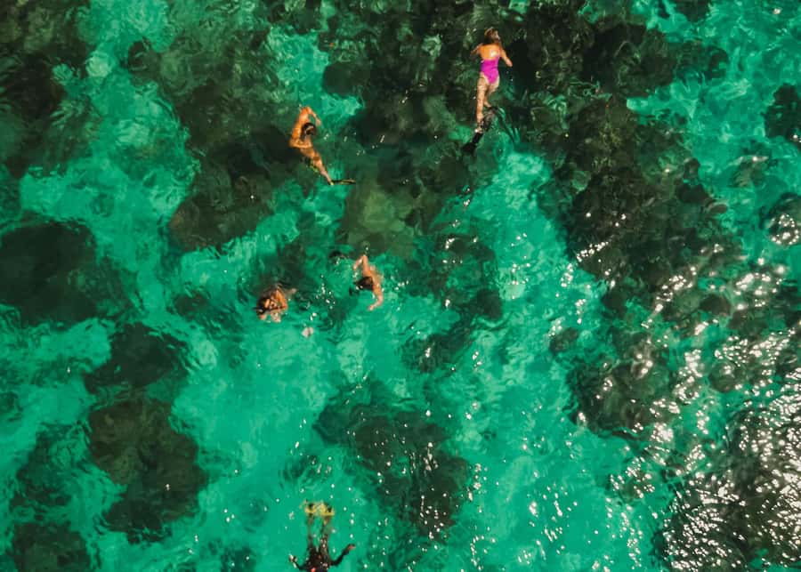 Gili Islands: 4-in-1 Catamaran Snorkeling Experience - Paddleboards, beanbags, and the roof jump