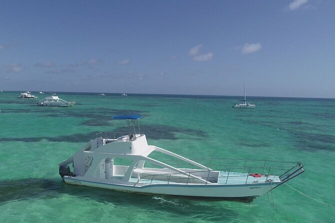 GlassBottom Catamaran with Slide - Snorkeling above coral