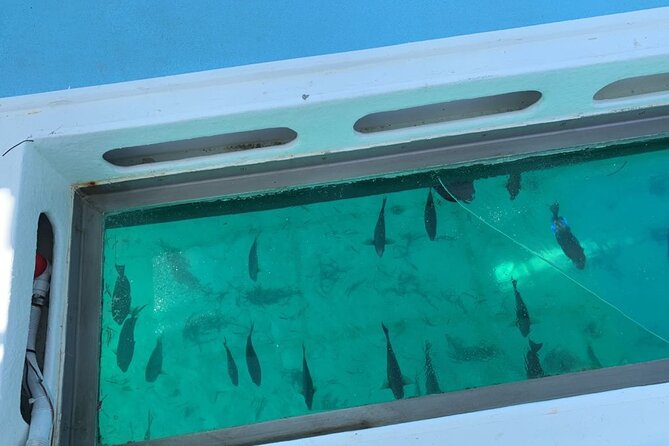 GlassBottom Catamaran with Slide - Who will enjoy this catamaran most?