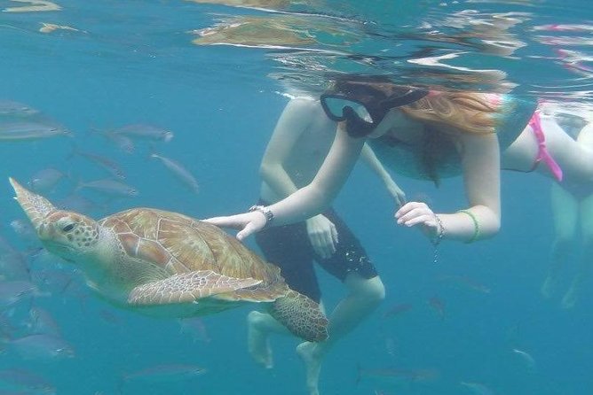 Good Times Too Premium Catamaran Lunch Cruise - Reef fish, stingrays, and further chances to swim