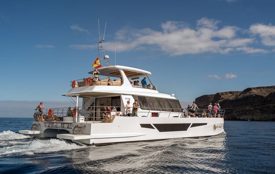 Gran Canaria: Afternoon Catamaran Cruise with Food & Drink - Optional water sports, from a €5 speedboat ride to a €32 jet ski