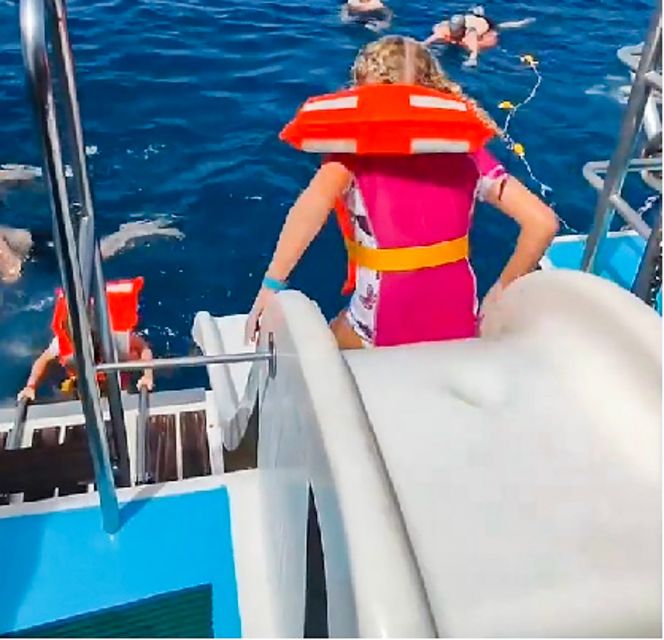 Gran Canaria: Catamaran Dolphin Watch Cruise with Snorkeling - Setting Out From Puerto Base