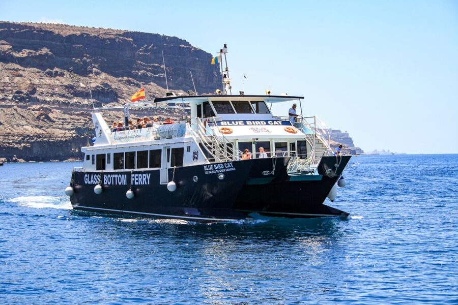 Gran Canaria: Catamaran Dolphin Watch Cruise with Snorkeling - The Coastal Swim Stop Near Taurito