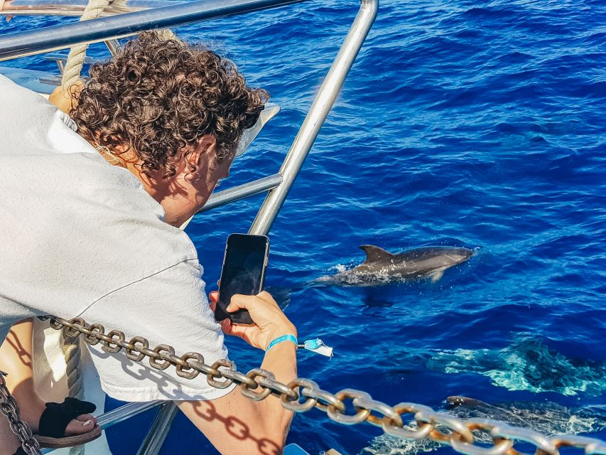 Gran Canaria: Catamaran Dolphin Watch Cruise with Snorkeling - Who Will Enjoy This Cruise Most