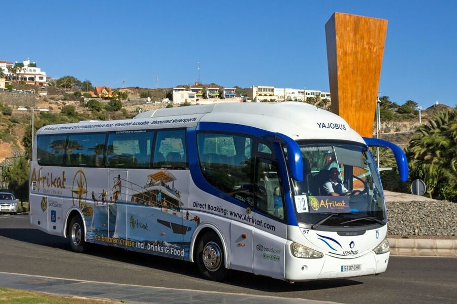 Gran Canaria: Fun Catamaran Cruise with Food and Drinks - The southwest coast from the catamaran