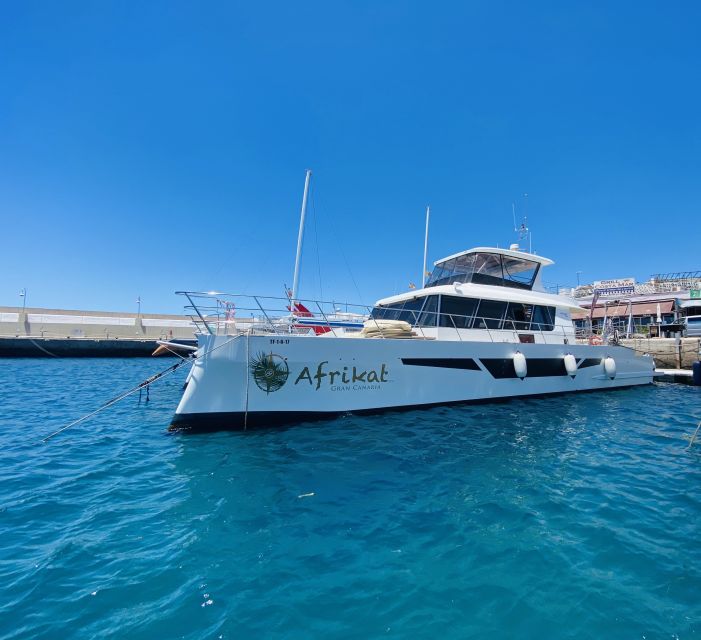 Gran Canaria: Fun Catamaran Cruise with Food and Drinks - How crowded and family-friendly is it?