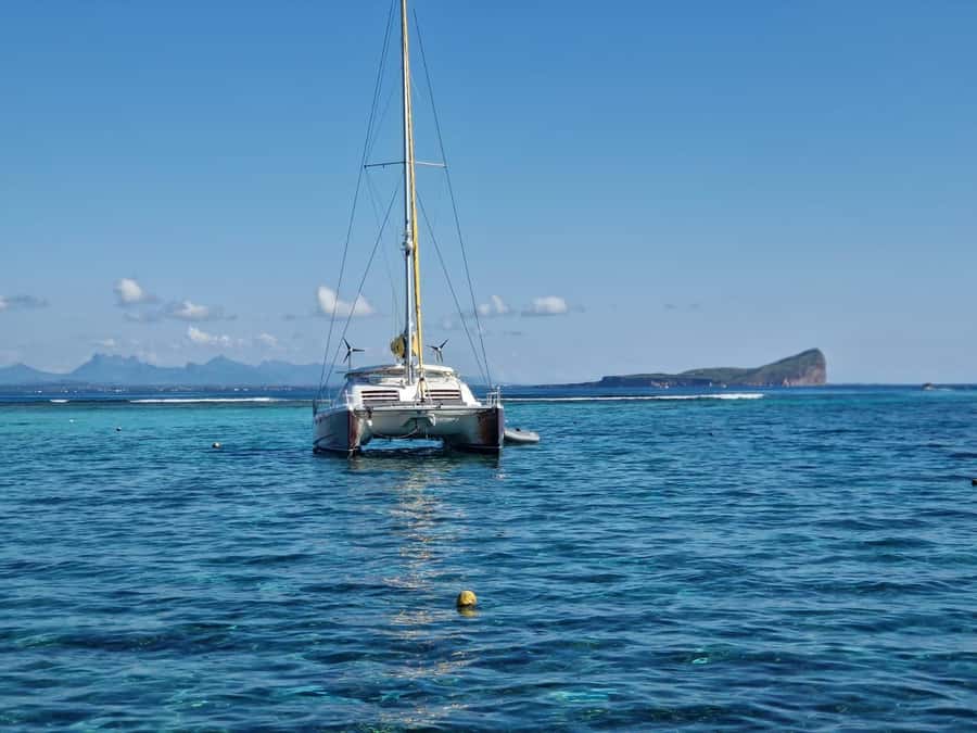 Grand Bay: Catamaran Cruise to Flat Island with BBQ Lunch - Snorkeling and swimming near the northern islands