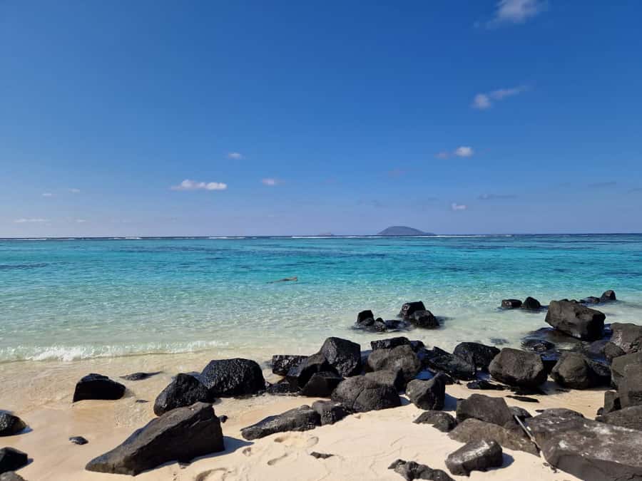 Grand Bay: Catamaran Cruise to Flat Island with BBQ Lunch - Practical details before you reserve
