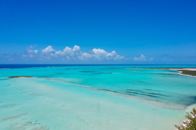 Group Catamaran 4 hr tour coral reef fun Iguana island adventure! - The catamaran’s slide and jumping board