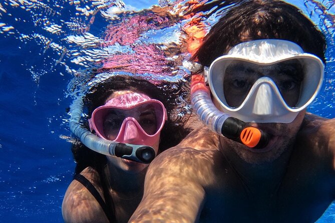 Group Catamaran 4 hr tour coral reef fun Iguana island adventure! - The crew: Choppa and Cheese