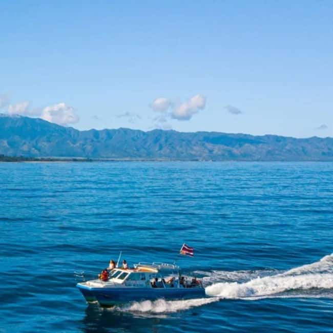 Haleiwa: North Shore Whale Watching Tour by Catamaran - Ending at Point of Pua’ena