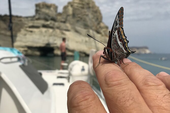 Half day Catamaran Morning Cruise in Kleftiko - Why this Milos cruise is worth your day