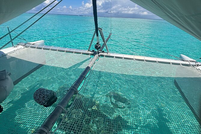 Half day catamaran sailing in the Sailinity Lagoon - Weather, cancellations, and planning your morning