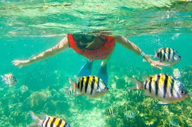 Half Day Catamaran & Snorkeling - The natural pool stop brings the easy Caribbean fun