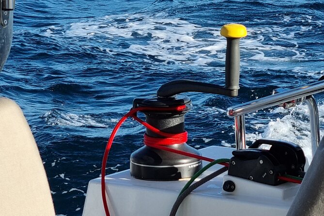 Half Day Catamaran Tour in Algarve - Lagos - Who will enjoy this catamaran trip most?