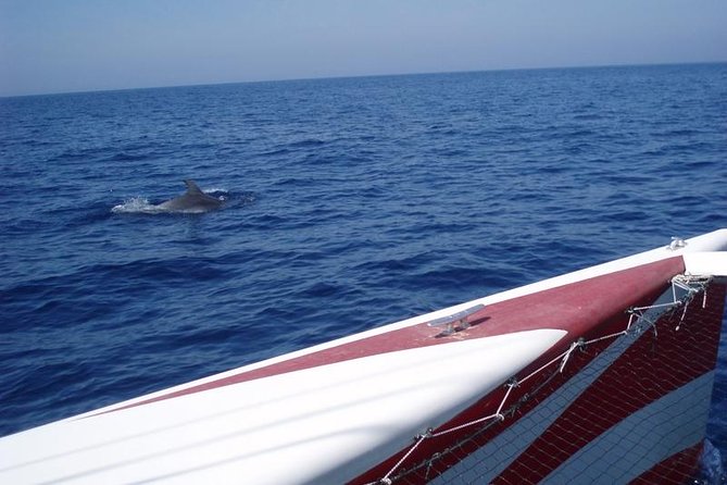 Half-Day Catamaran Trip in Menorca - Practical details before you reserve
