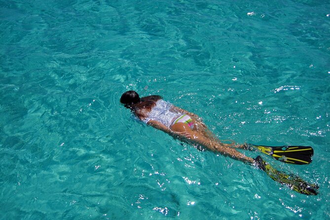 Half-Day Florida Keys Catamaran Snorkel Adventure - Food, water, and what to bring