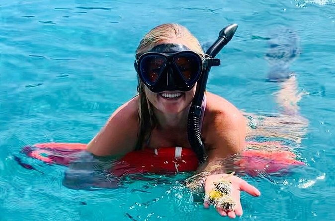 Half Day Luxury Catamaran Turtle Snorkel And Beach - The crew makes the difference