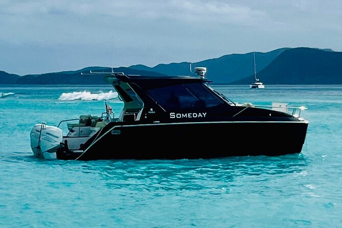 Half Day Luxury Catamaran Turtle Snorkel And Beach - Who will enjoy this trip most?