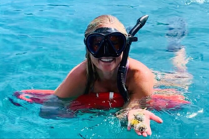Half Day Luxury Catamaran Turtle Snorkel And Beach - Turtle Cove at Buck Island National Wildlife Refuge