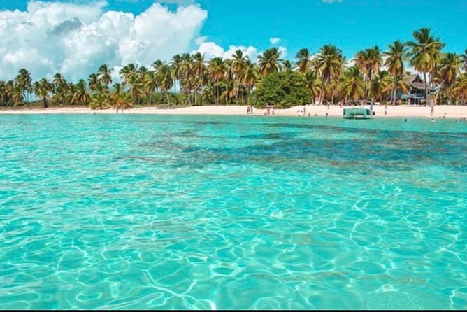 Half-day Private Catamaran Trip with Snorkeling - Snorkeling over a tropical reef