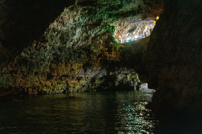Half-Day Private Tour by Catamaran in Polignano a Mare - Price, timing, and cancellation rules