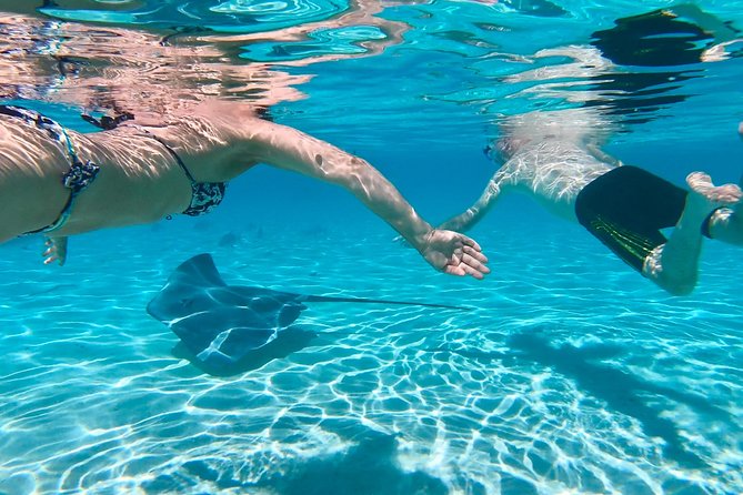 Half Day Tour : Moorea Snorkeling & Sailing on a Catamaran named Taboo - What your four hours on the lagoon look like